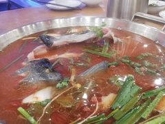 -新凯里酸汤鱼(飞山街店)