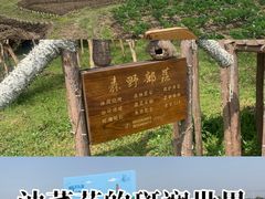 -阳澄湖半岛旅游度假区