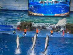 -多彩贵州城极地海洋世界