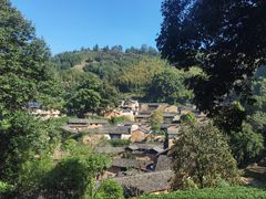 -杨家堂村