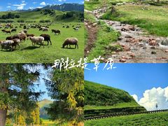 -赛里木湖风景名胜区