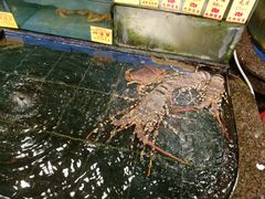 -新梅园不夜粥(龙华店)