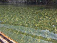 -楠溪江风景名胜区