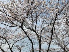 -长田漾湿地公园