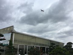 -龙大花卉苗木市场