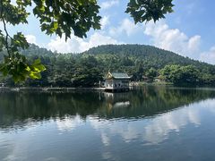 -庐山风景区花径公园