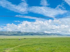 -祁连山草原