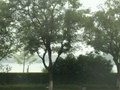 android_upload_pic-无锡市市民中心