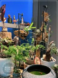 -周忆刺青原创设计定制