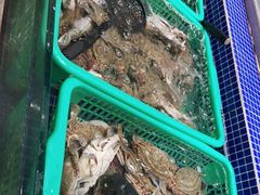 -丰卓会海鲜自助(中润大道店)
