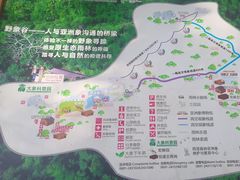 -野象谷景区