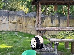 -上海野生动物园