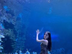 -郑州海洋馆
