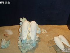 -亚龙湾中心广场·贝壳馆