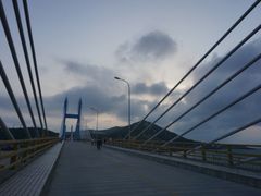 -枸杞岛