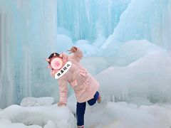 -青峰峡国家森林公园