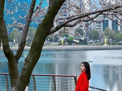 -西北湖绿化广场