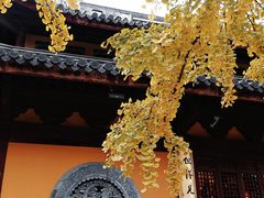 -龙华寺