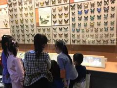 -佳禾国际美术书法教育(仁恒伊势丹校区)