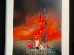 -罗红摄影艺术馆