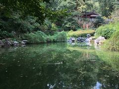 -杭州西湖风景名胜区-三生石