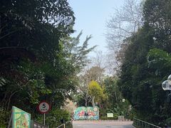 -九龙公园