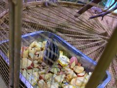 -正佳雨林生态植物园
