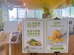 -油梨树AVOCADO TREE(望京店)
