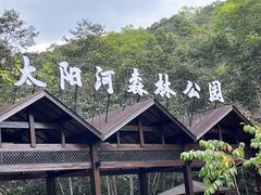 -普洱太阳河森林公园