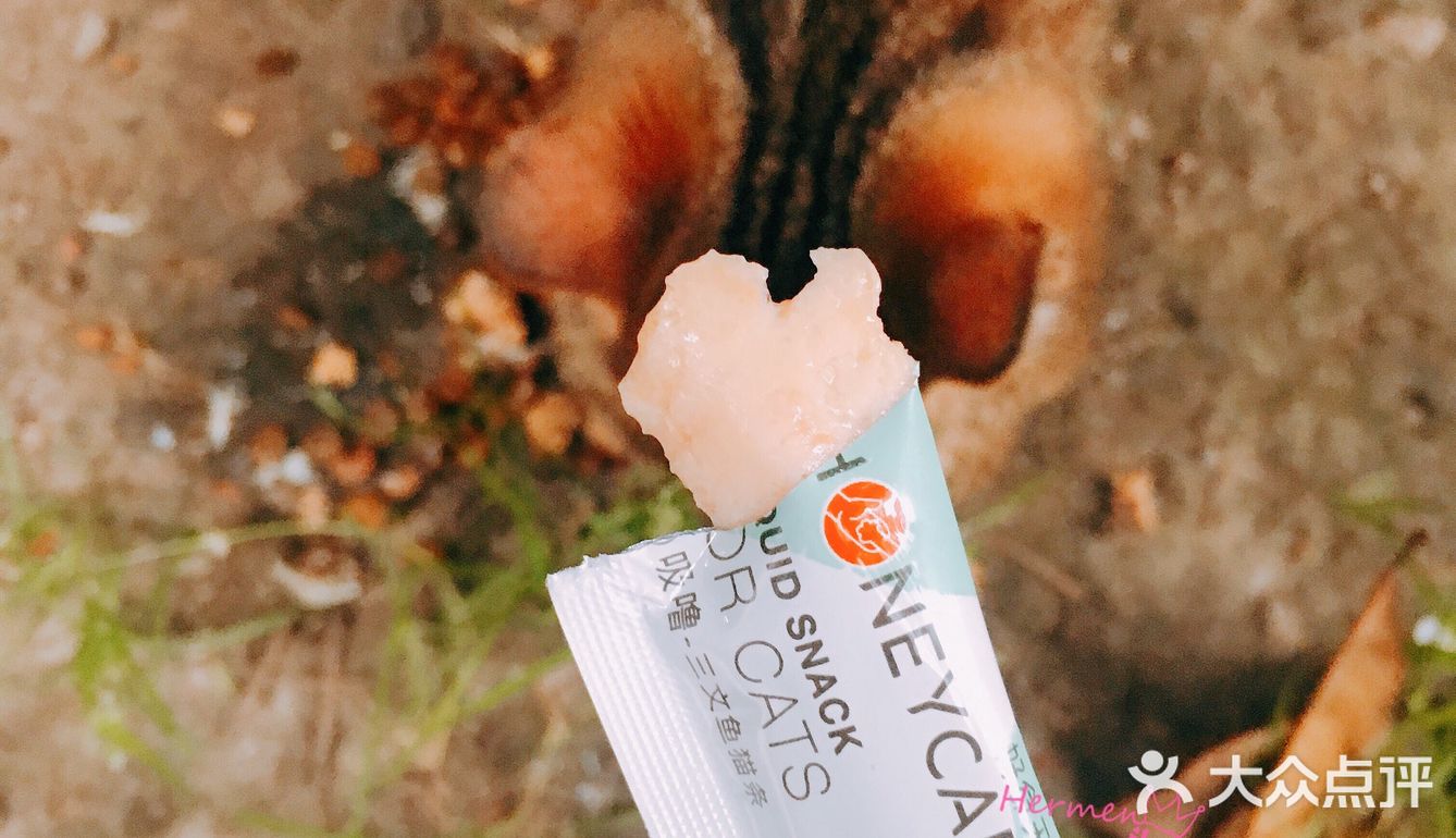 honeycare猫条测试