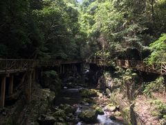 -永泰中国云顶