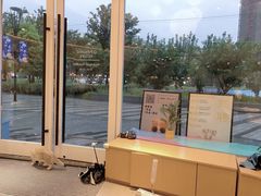 -飞行喵MR PILOT|猫舍·猫咖(静安大融城店)