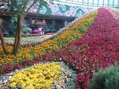 -花之城