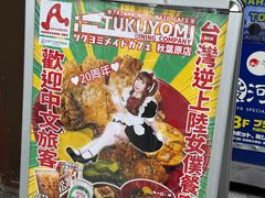 -秋叶原电器街