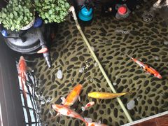 -尺山寸水日料(马桥满天星店)