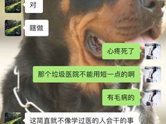-顺强宠物诊所·狂犬免疫·夜诊·骨科(嘉定店)