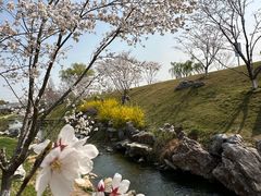 -羊山湖公园