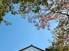 -万达影城(银兴菲林店)