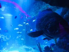 -沈阳海洋探索中心