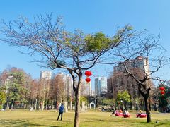 -四海公园(南山区)