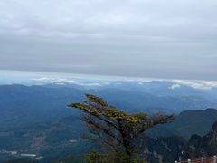 -峨眉山风景名胜区