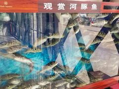 -肆月河豚·新淮扬(金融街店)
