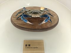 -陕西自然博物馆