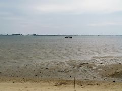-北海金海湾红树林生态旅游区