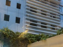 -巴厘龙虾·榜首油焖大虾(洞庭·艺术洋房店)