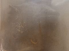 -伟伟宠物医院·CT影像中心·瑞派犬猫综合性门诊(汉口总院)