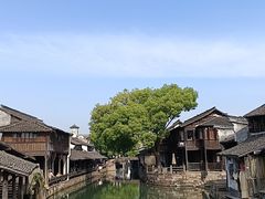 -乌镇东栅景区