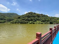 -黄埔油麻山森林公园