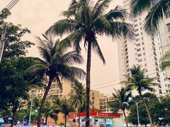-海大南门夜市(海富街店)