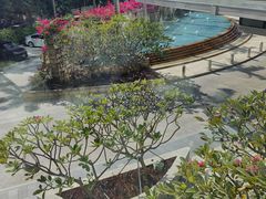 -海湾壹品·粤菜·早茶·烤鸭(拱北店)